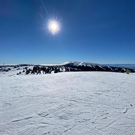 Konaci Koznik Porodicni Appartement *