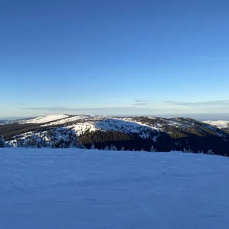 Appartement Konaci Koznik Porodicni *